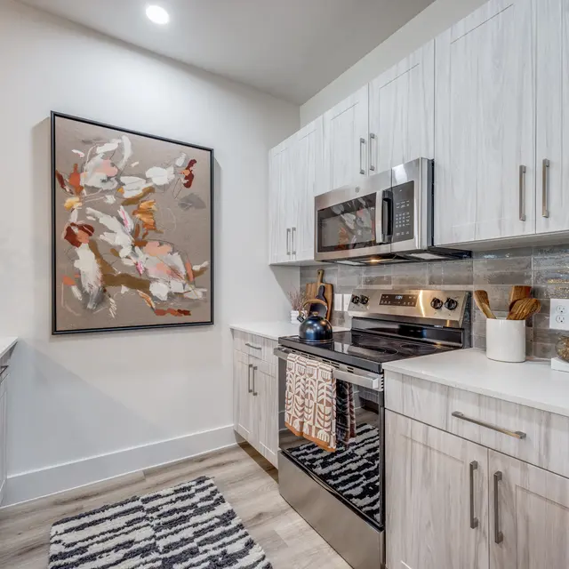 A contemporary kitchen featuring light wood cabinetry, stainless steel appliances, and a decorative painting on the wall. A textured rug is visible on the floor, and the overall style is modern and clean.
