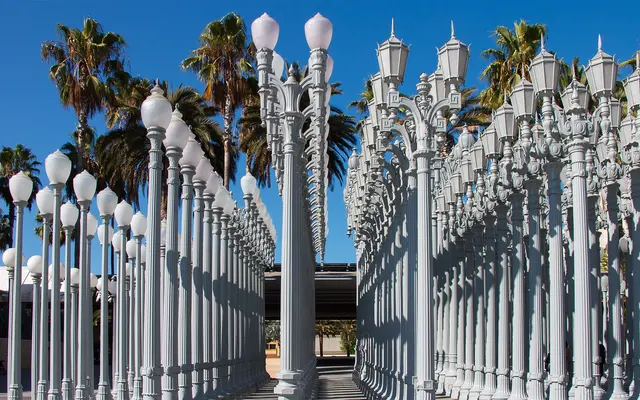 A row of white urban lamp posts lined up under a clear blue sky, with palm trees in the background.