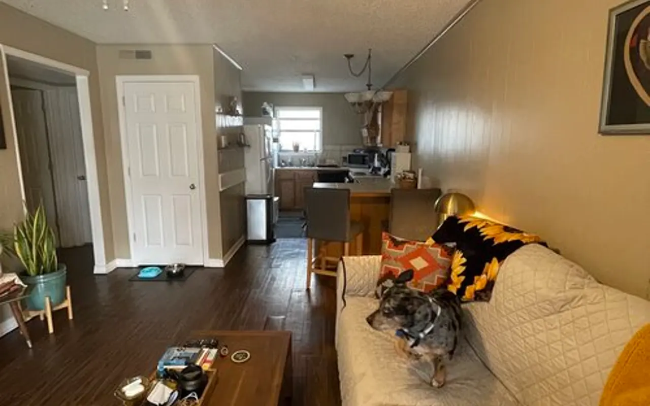 Cozy Living Room with Dog A cozy living room featuring a light-colored couch with a dog resting on it, a coffee table with various items, a ceiling fan, and an open kitchen in the background. The room is decorated with a small plant and warm colors.