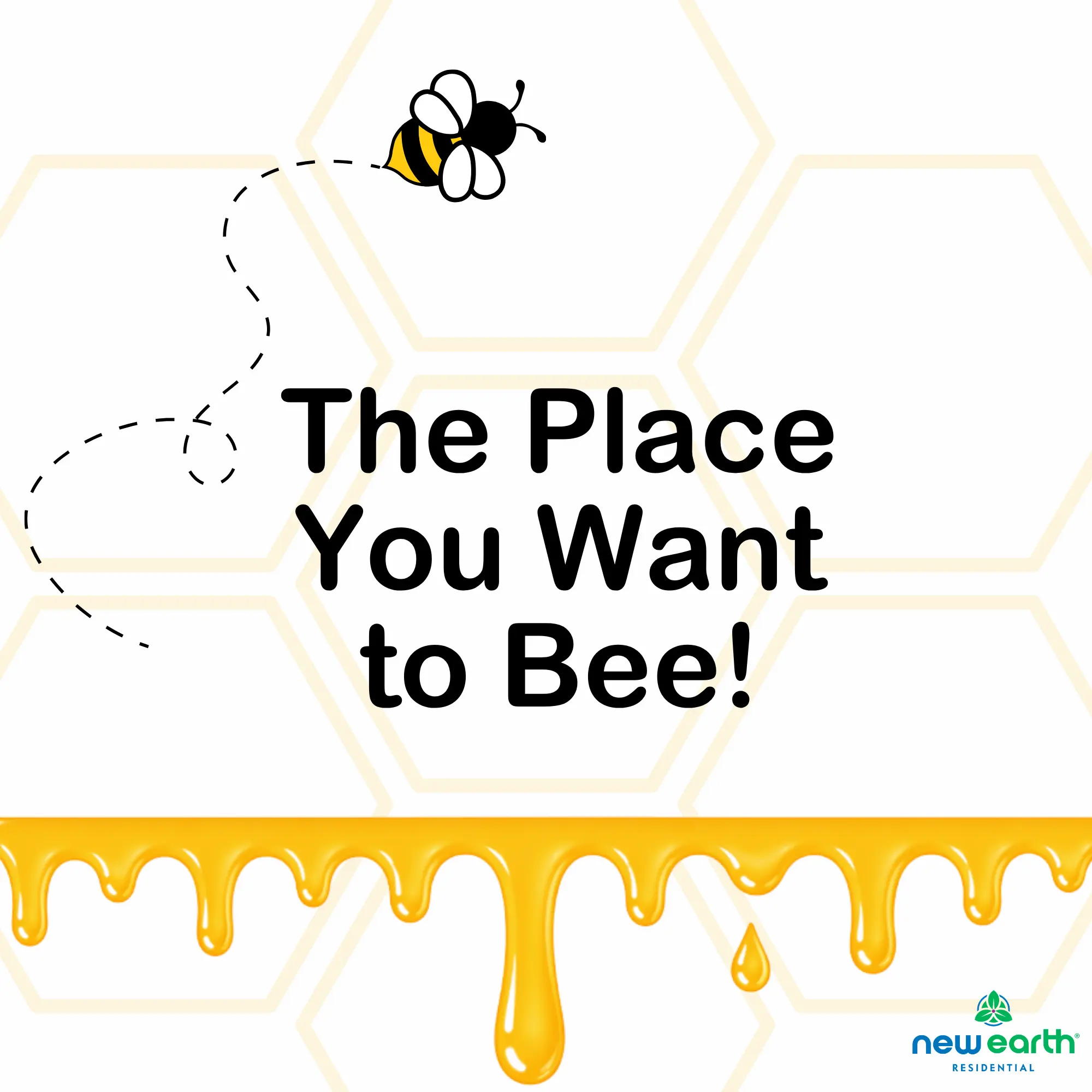 A playful graphic featuring a cartoon bee flying near honeycomb patterns with the text 'The Place You Want to Bee!'
