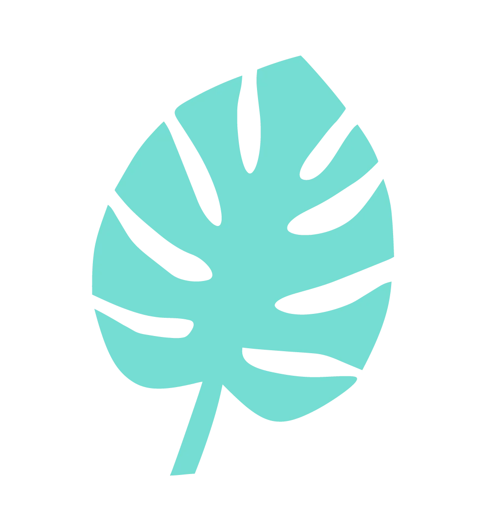 A simple, stylized illustration of a monstera leaf in a light blue color.