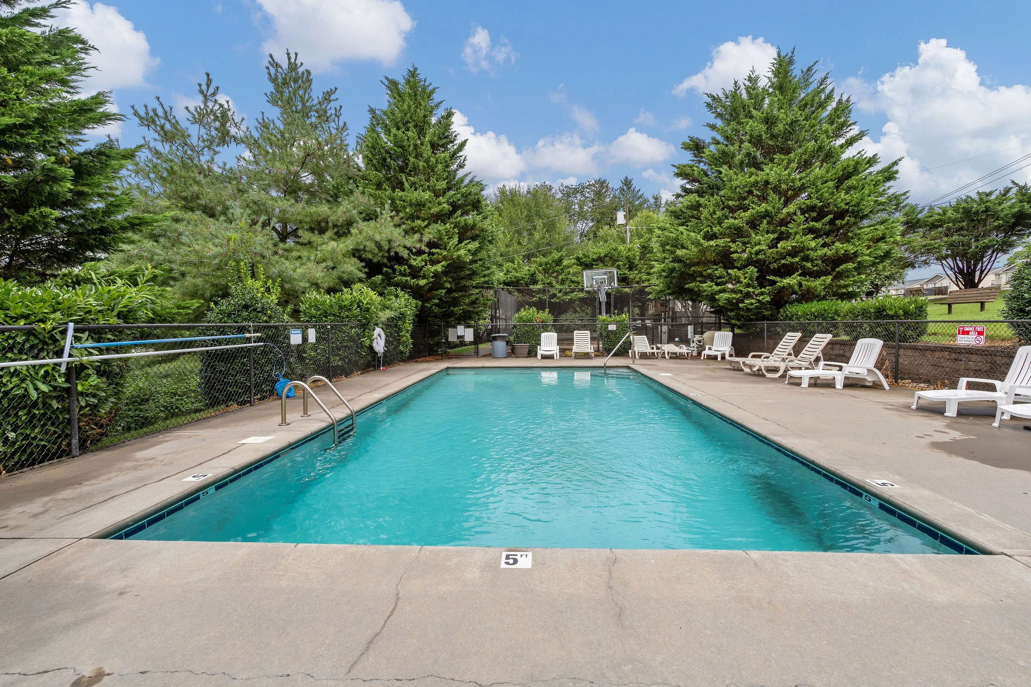 Refreshing Swimming Pool Area A clear blue swimming pool surrounded by green trees and white lounge chairs on a sunny day.