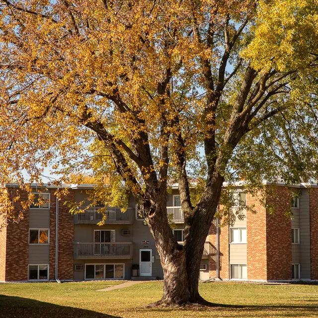 A large tree with vibrant yellow and orange leaves in the foreground, in front of a two-story brick apartment building. The building has several windows and balconies, surrounded by a grassy area.