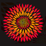 A vibrant artistic representation of a flower with layers of petals in shades of red, orange, and yellow, set against a dark background.