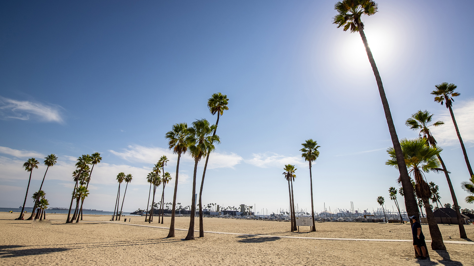 Resa - Sunny Beach with Palm Trees A sandy beach lined with palm trees under a clear blue sky and bright sun.