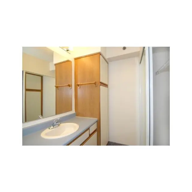 Spacious Bathroom Interior Interior view of a bathroom with a sink, wooden cabinets, and a shower area.