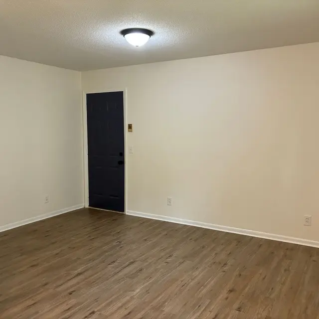 An empty room with a wooden floor, a plain white wall on the left side, a dark blue door on the right, and a ceiling light in the center.