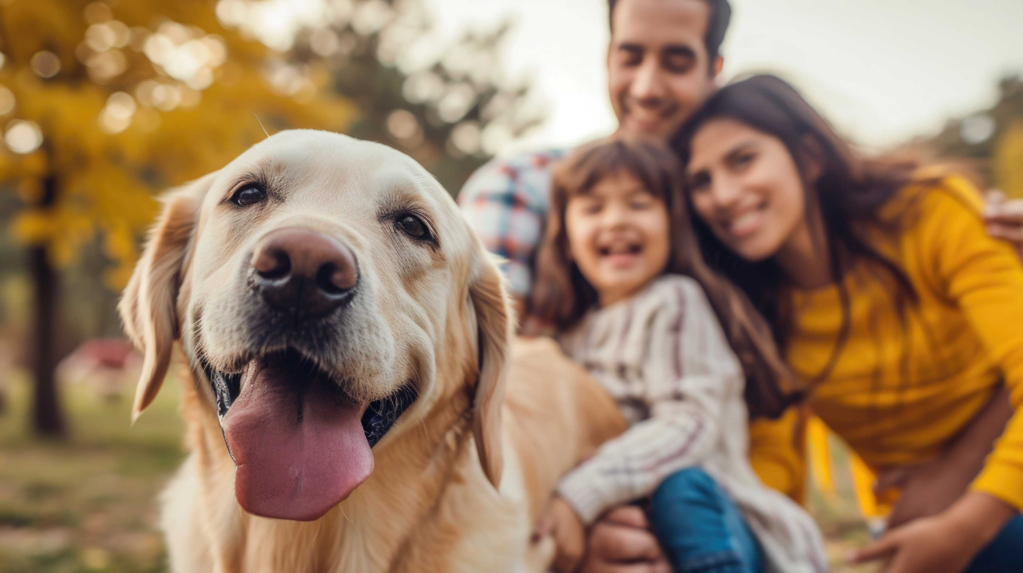 A joyful family with a golden retriever in a park setting. The dog is in the foreground, smiling, while a woman, a man, and a child are playfully interacting in the background, enjoying their time together.