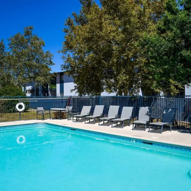 A clear blue swimming pool surrounded by lounge chairs and trees under a bright blue sky.