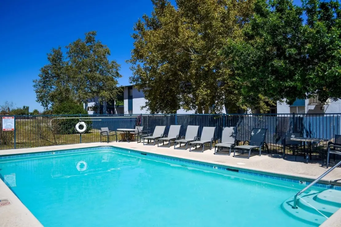 A clear blue swimming pool surrounded by lounge chairs and trees under a bright blue sky.