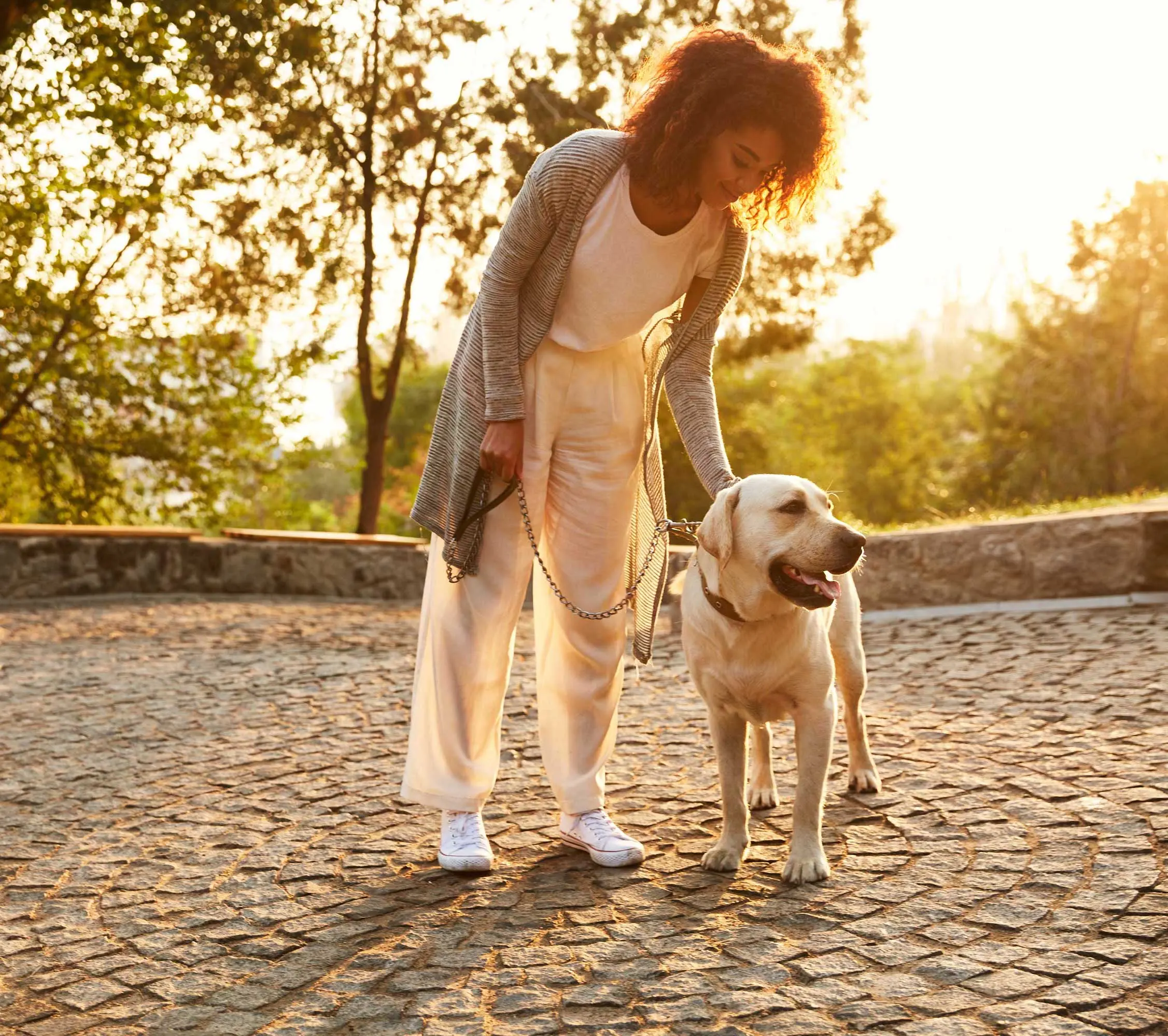 A woman with curly hair kneels next to a Labrador dog on a cobblestone path during sunset. The background shows green trees and a warm, glowing sky.