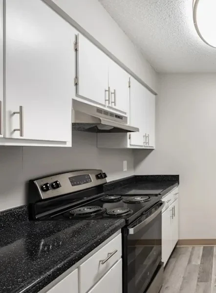 A modern kitchen featuring white cabinets, a black countertop, and stainless steel appliances, including an oven and a stovetop.