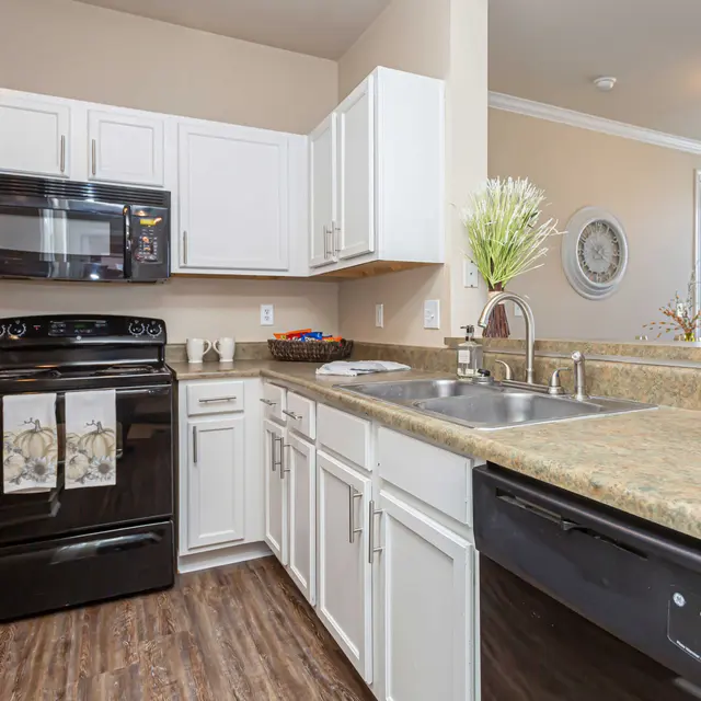 Modern Kitchen Interior A modern kitchen featuring white cabinetry, a black stove and microwave, and a double sink with a view outside.