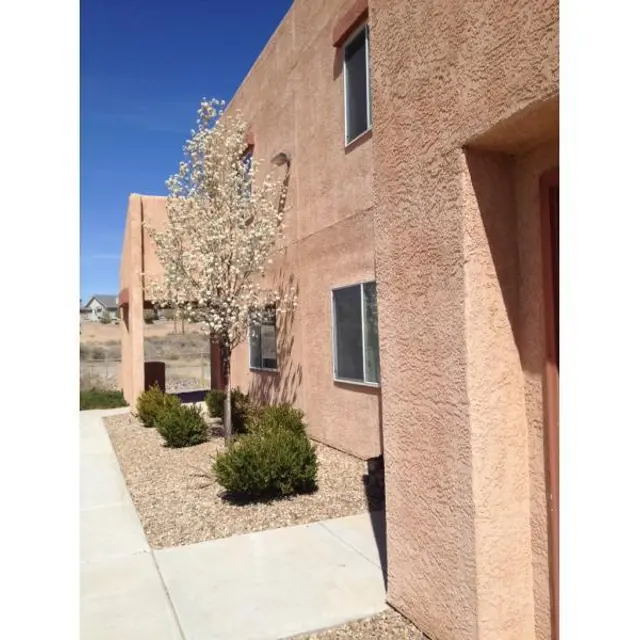 Building Exterior with Landscape Exterior view of a light-colored building with a small tree and shrubs in the foreground.