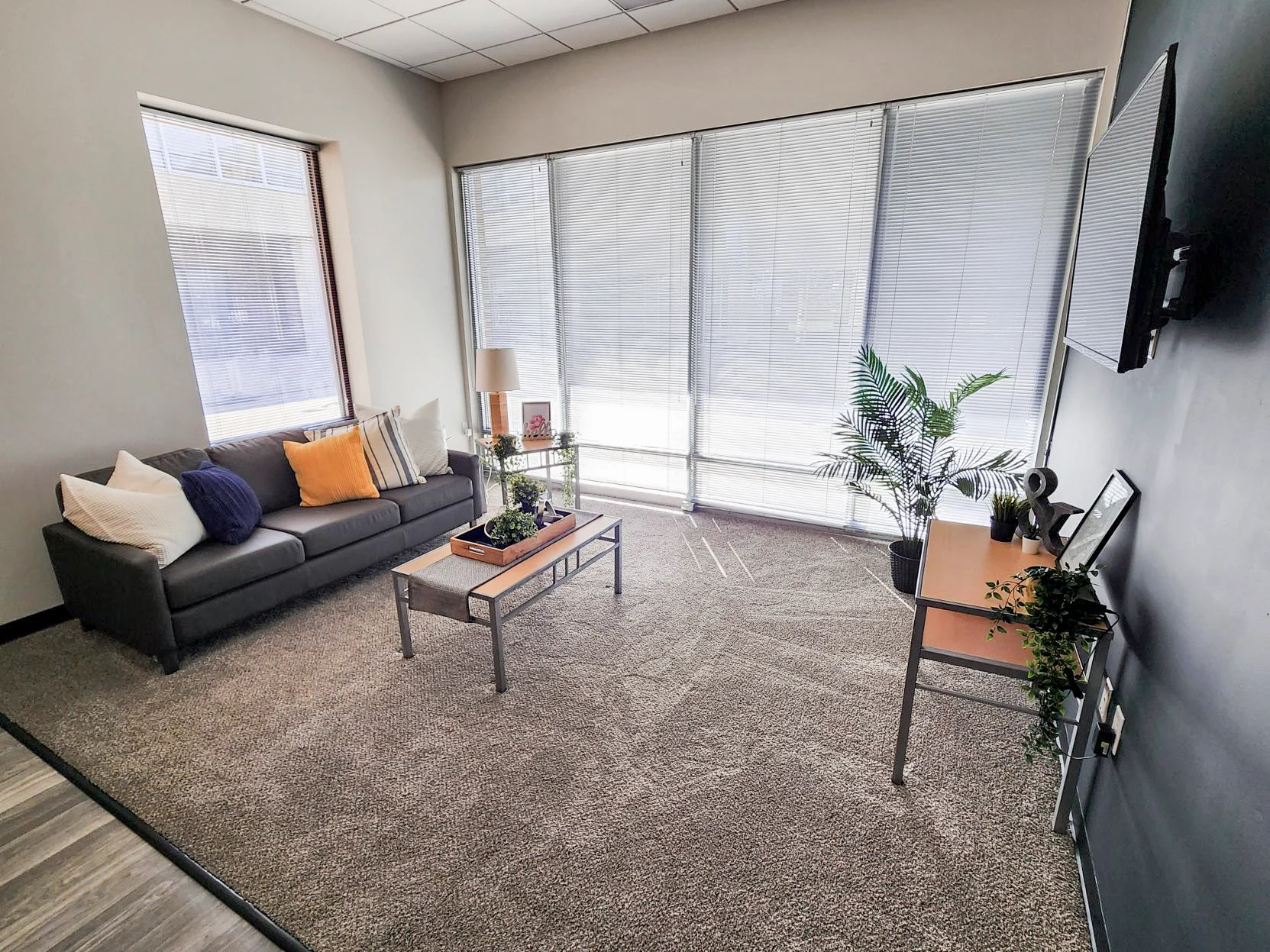 A modern lounge area featuring a grey sofa with colorful cushions, a coffee table with plants on it, and large windows with shades, creating a bright and inviting atmosphere.