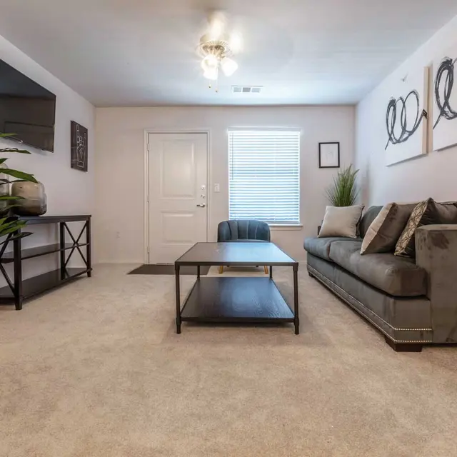 A modern living room featuring a grey sofa, a coffee table, a television mounted on the wall, and a potted plant. There is a door and a window with blinds visible in the background.