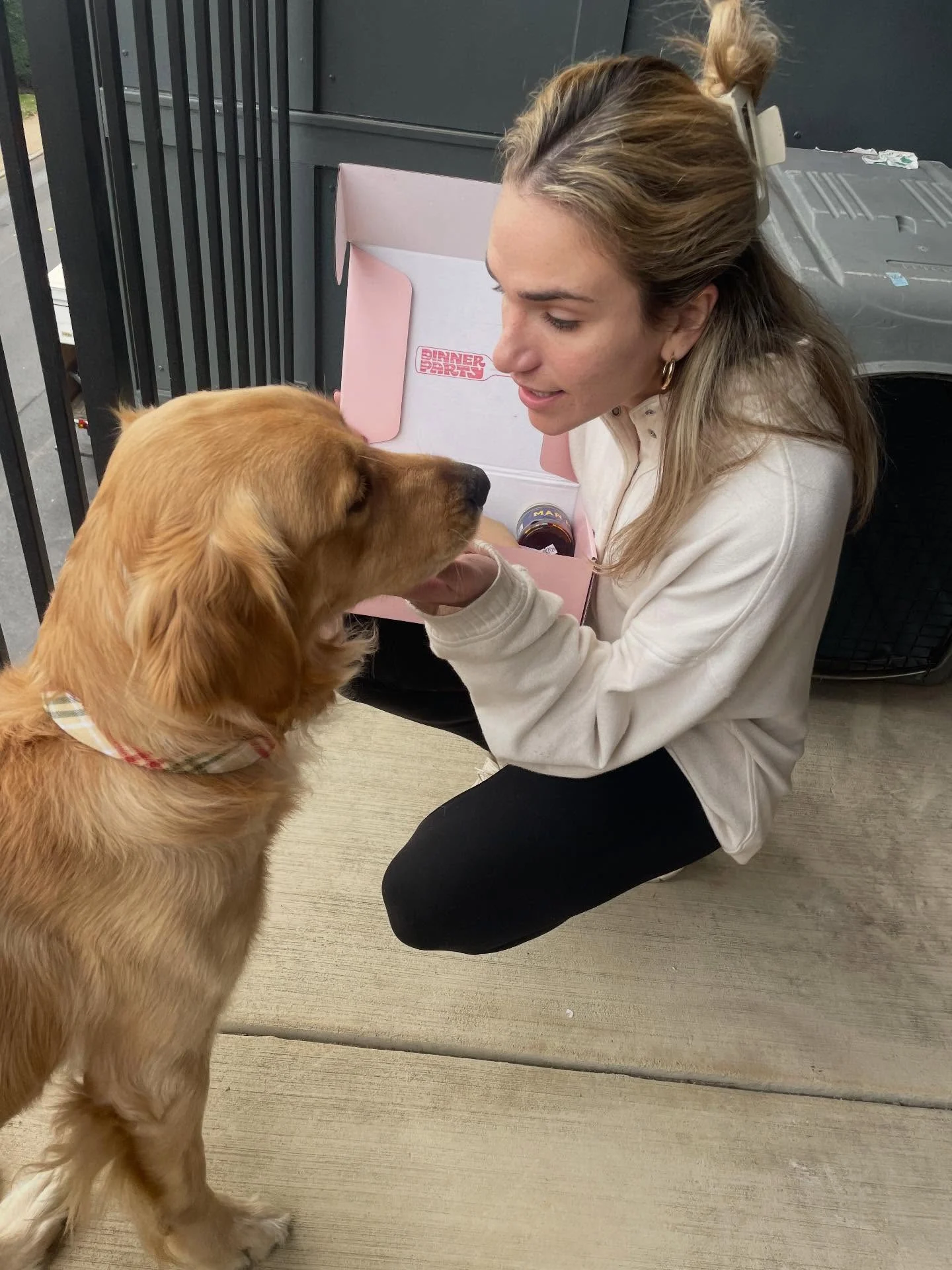 Woman and Dog Bonding Moment A woman interacts with a golden retriever dog on a balcony, with a pink box placed nearby.