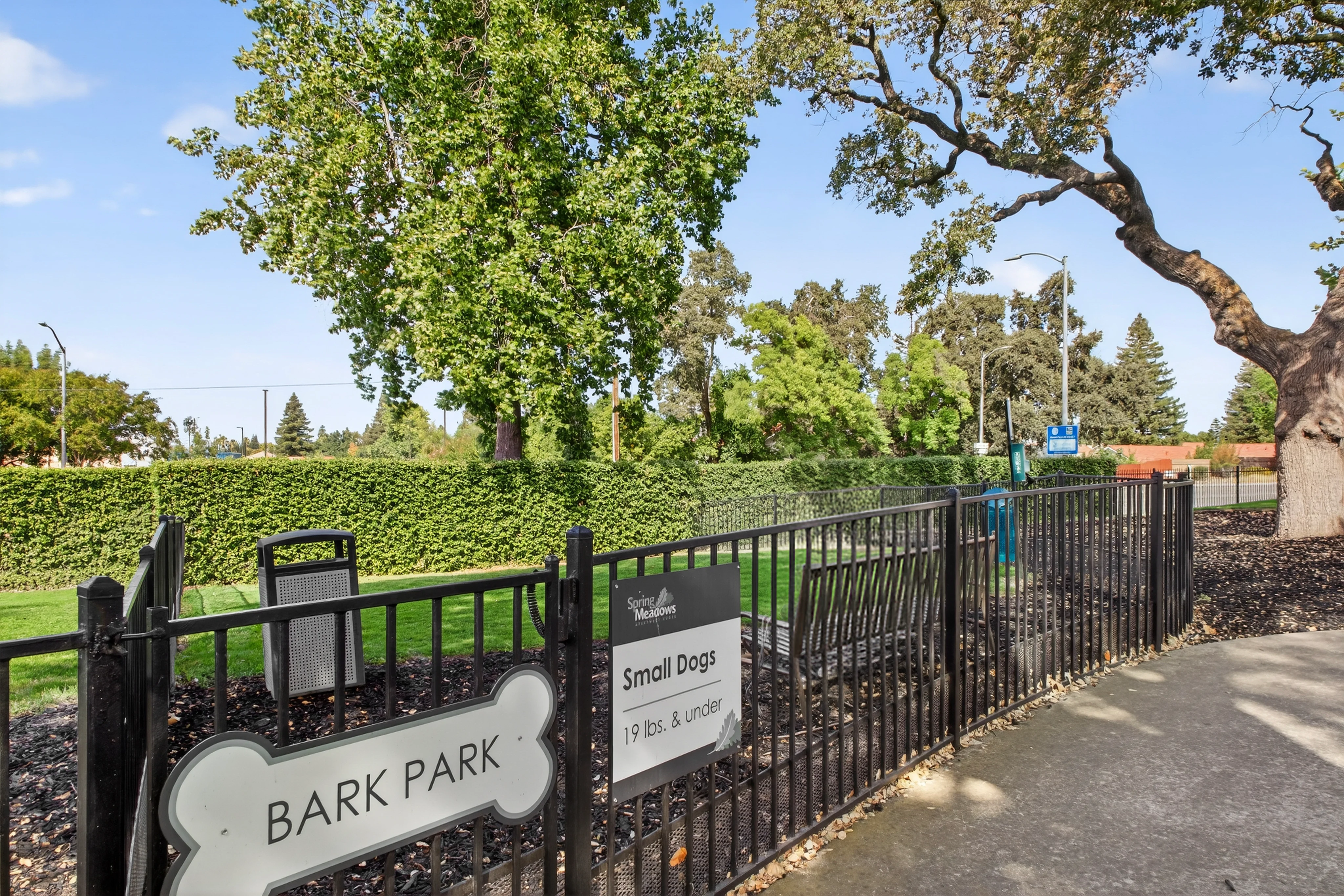 SpringMeadowsComm-18.jpg Dog park, Small dogs, Bark park