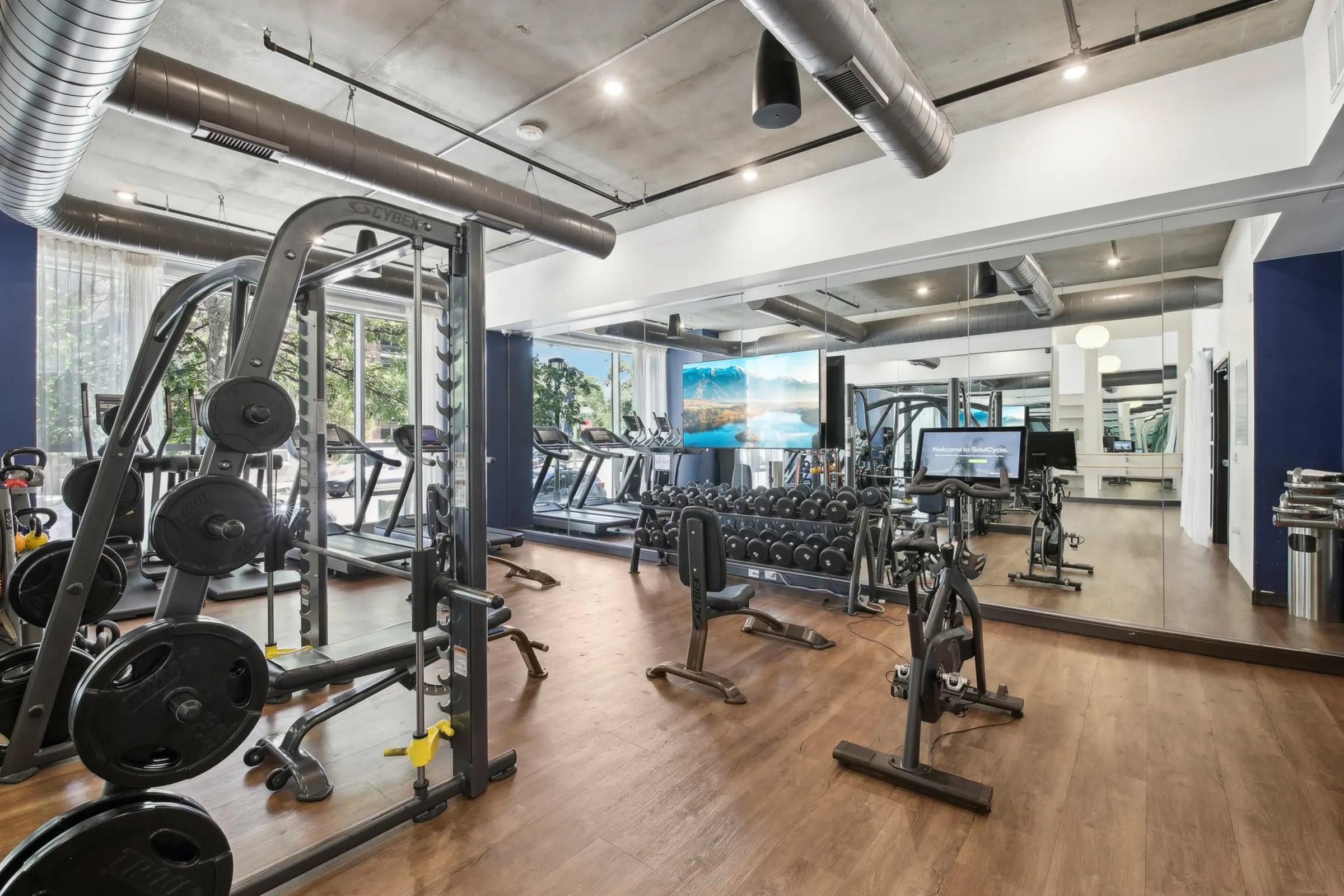 Modern Gym Interior Interior view of a modern gym with workout equipment, large windows, and a mirror.