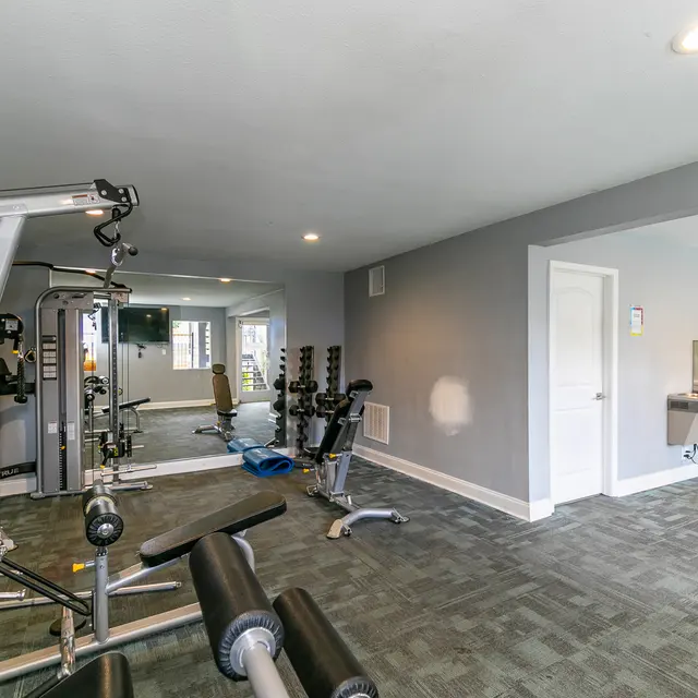 Interior view of a gym featuring various workout equipment including weight machines, dumbbells, and exercise balls in a bright and modern space.