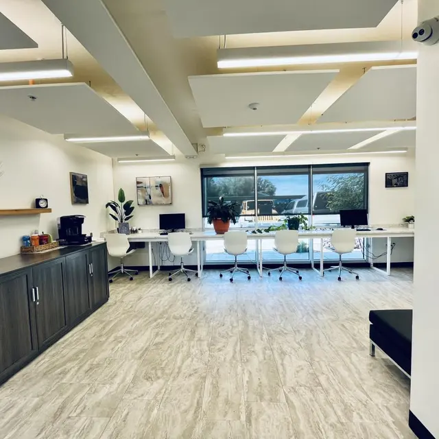 A spacious and well-lit modern office environment featuring white desks with chairs, large windows allowing natural light to enter, and an inviting wall shelf with plants and refreshments.
