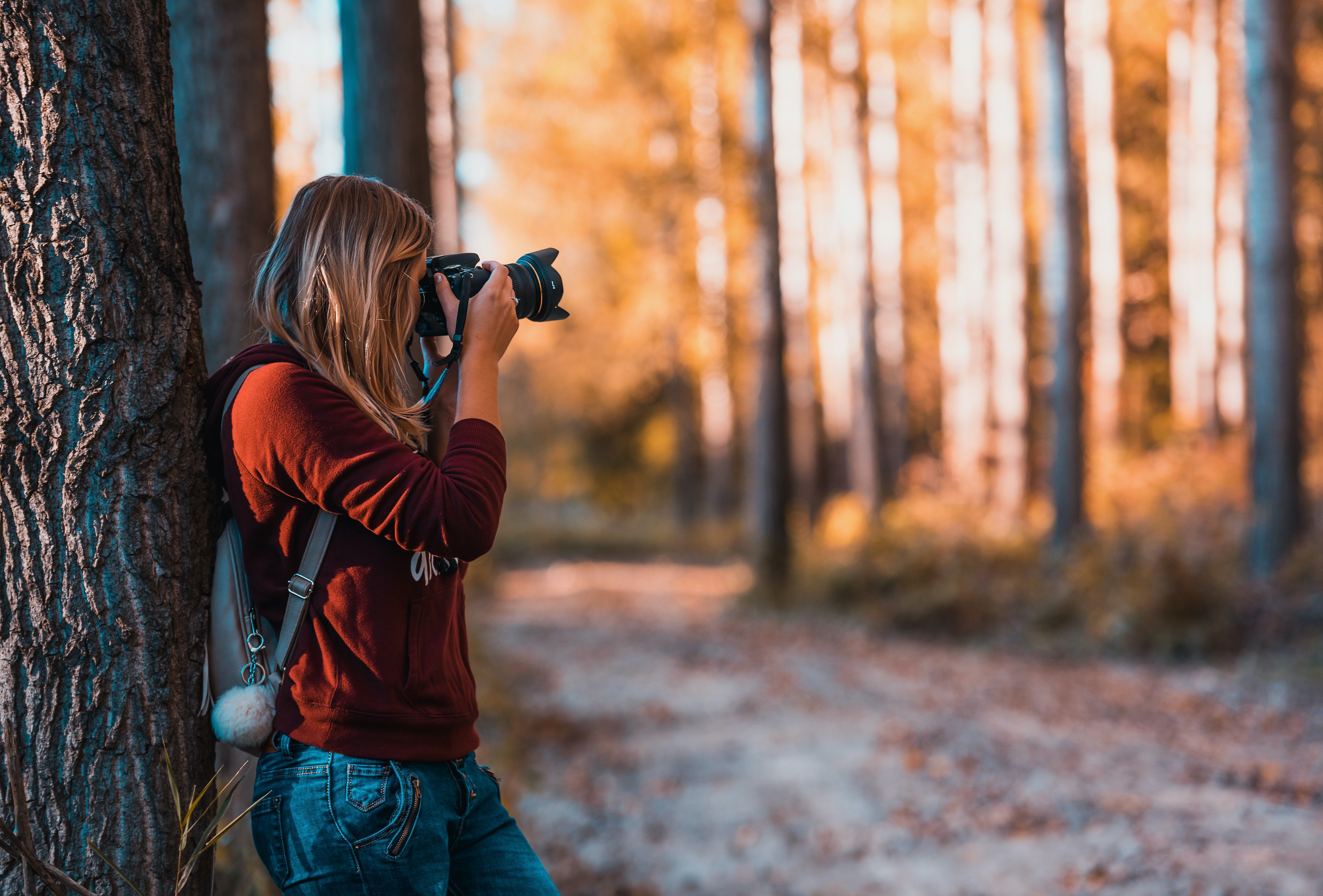 A person stands against a tree taking a photograph in a sunlit forest with fall foliage.