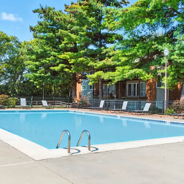 An outdoor swimming pool surrounded by lush green trees and sun loungers.