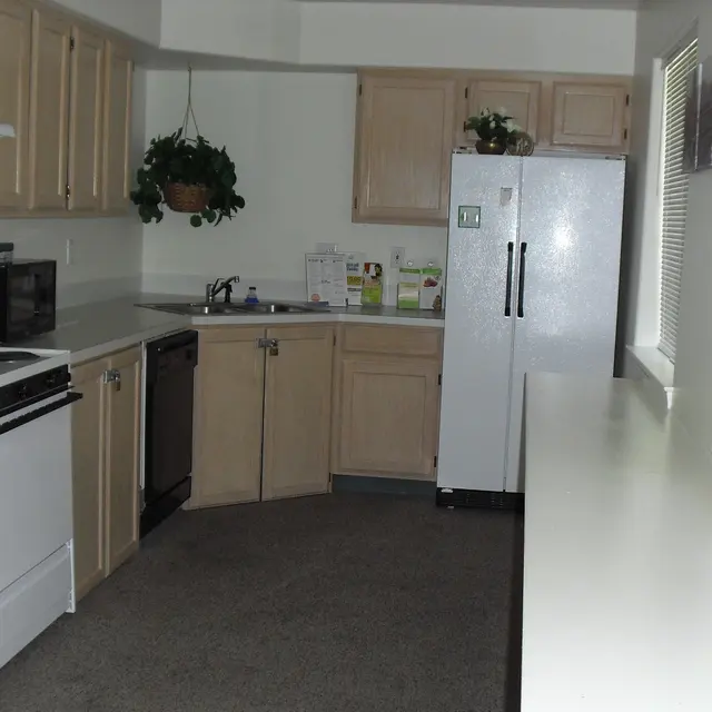 Bright and Functional Kitchen Space A small kitchen with light wood cabinets, a white stove, a dishwasher, and a refrigerator. The countertop is uncluttered, and there is a potted plant hanging over the sink. Natural light comes from a nearby window.