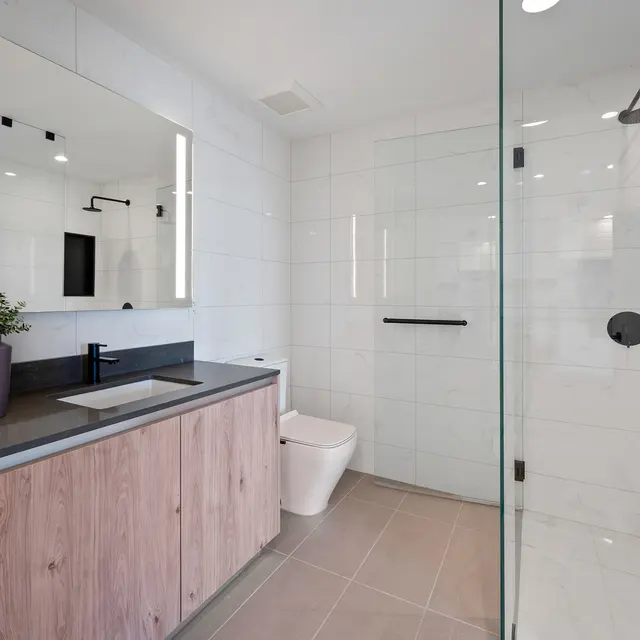 A modern bathroom featuring a shower, sleek cabinetry, a rectangular mirror, and a plant on the countertop.