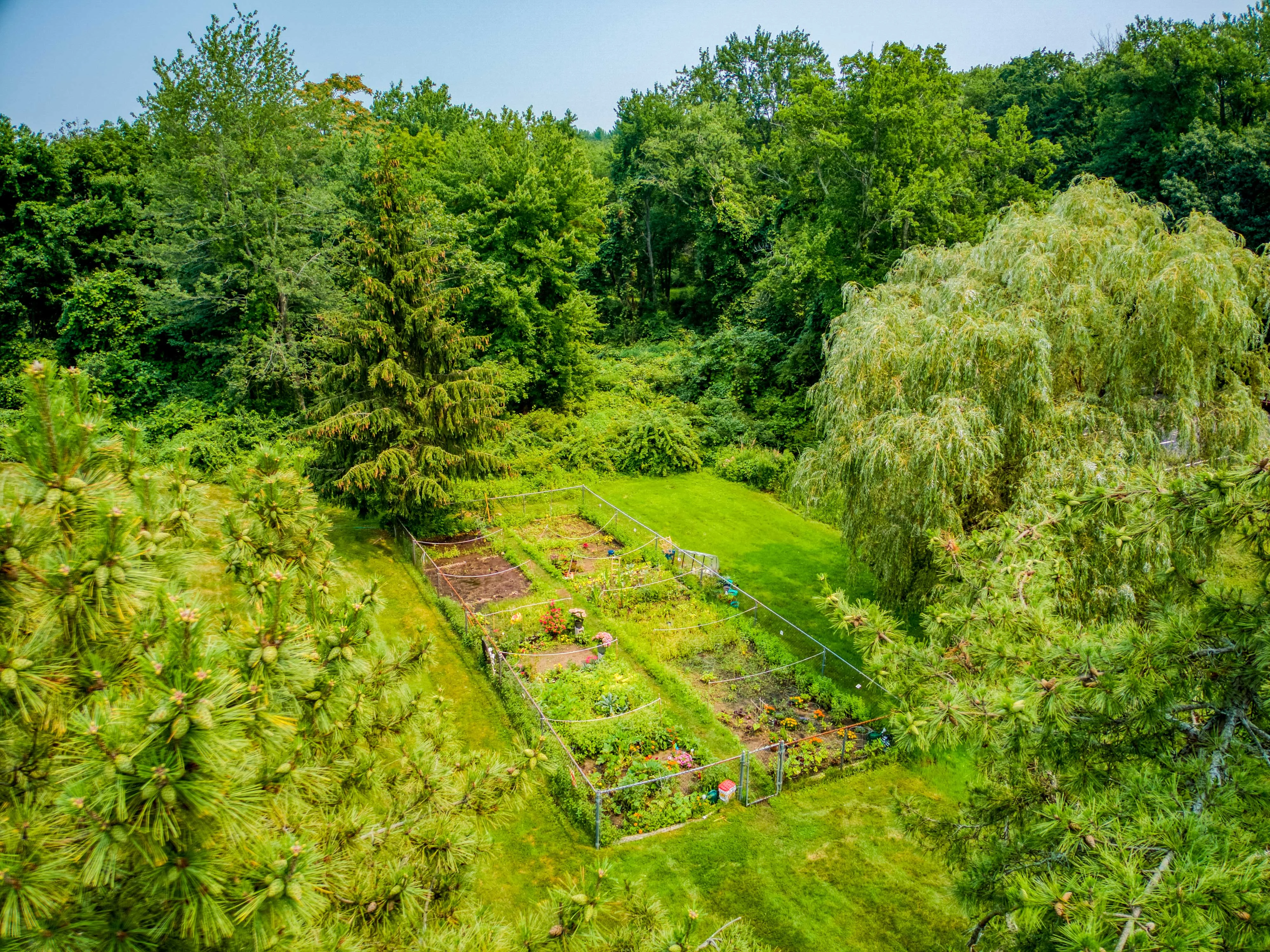 Aerial view of a lush green garden surrounded by tall trees. The garden features several organized planting beds and a manicured lawn.