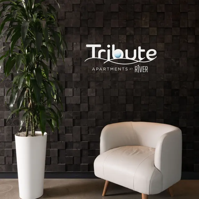 A stylish reception area featuring a modern white chair and a tall green plant in a white pot, set against a textured black wall with the logo for 'Tribute Apartments - River' prominently displayed.