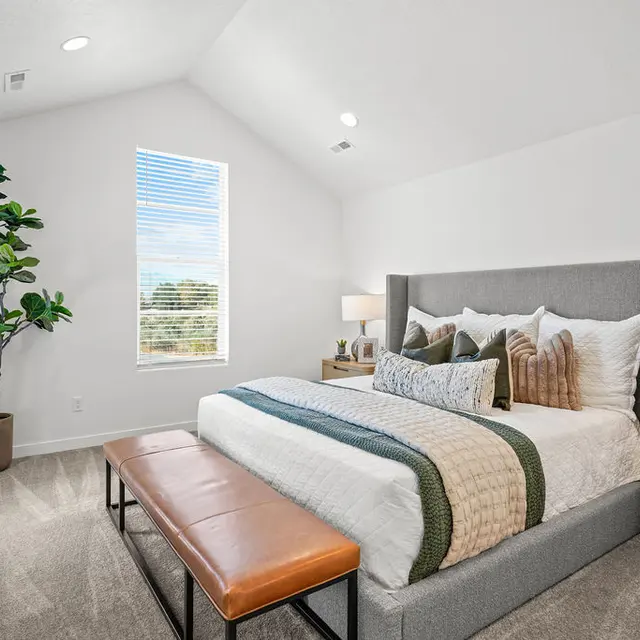 A modern bedroom featuring a large bed with decorative pillows, a stylish gray headboard, nightstands with lamps on either side, a brown bench at the foot of the bed, and a tall indoor plant near a window with natural light streaming in.