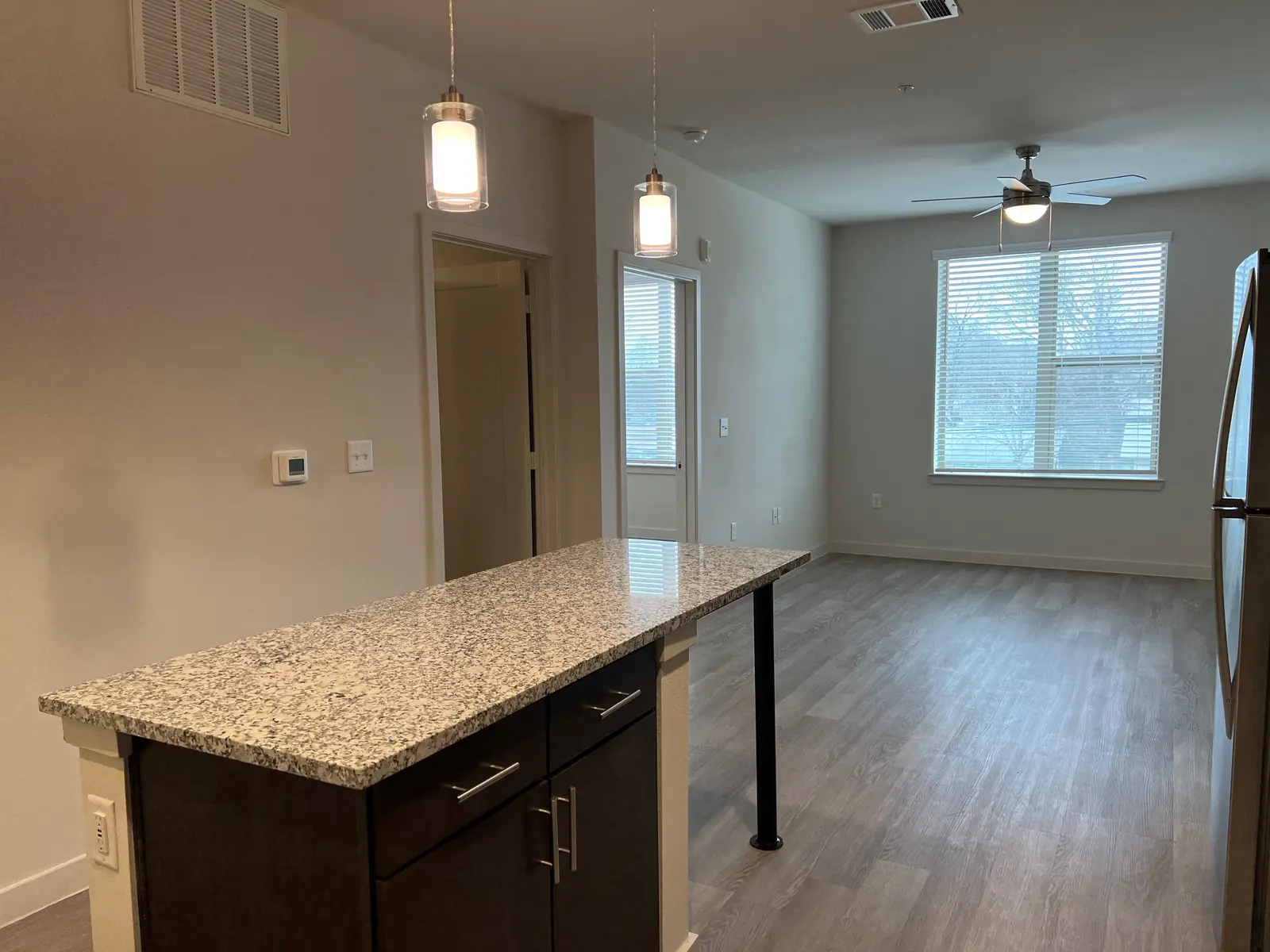 Modern Kitchen and Living Area A modern kitchen with granite countertop and dark cabinetry, overlooking a spacious living area with large windows and wood-like flooring.