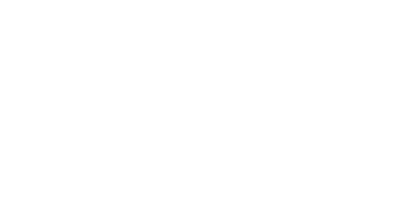 Logo of Denizen Management with an abstract design and the words 'DENIZEN MANAGEMENT'