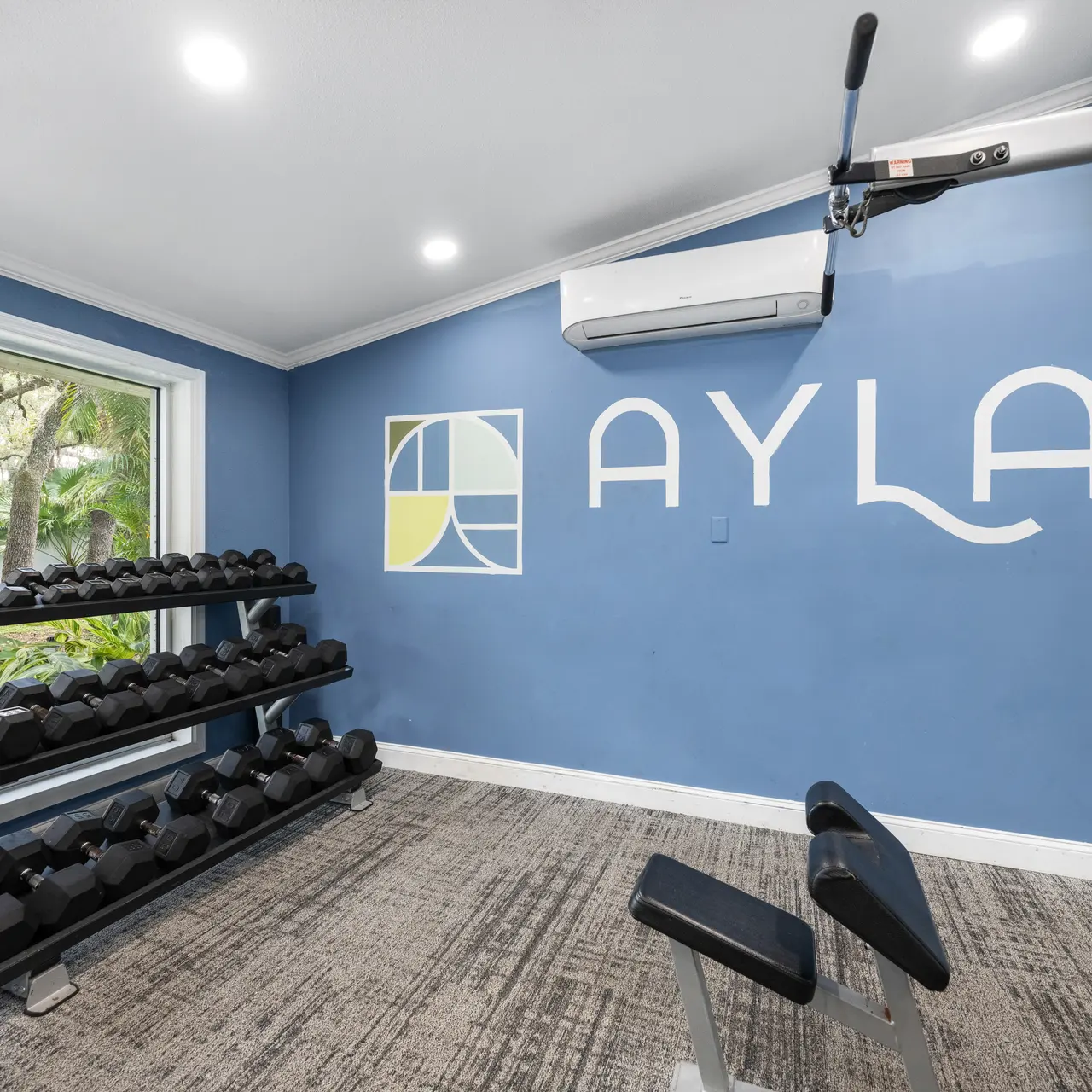 A modern gym interior featuring a blue wall with the word 'AYLA' in white letters, a rack of dumbbells, a weight machine, and a large window showing greenery outside.
