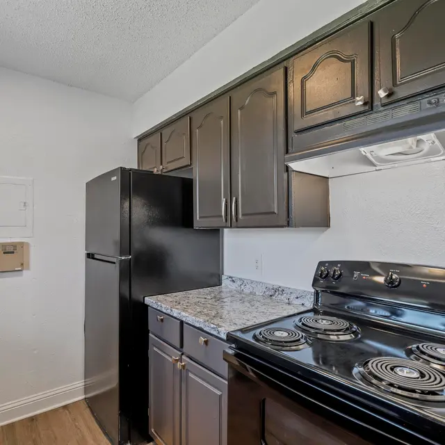 A modern kitchen featuring dark cabinetry, a black refrigerator, and a black stove with a granite countertop.