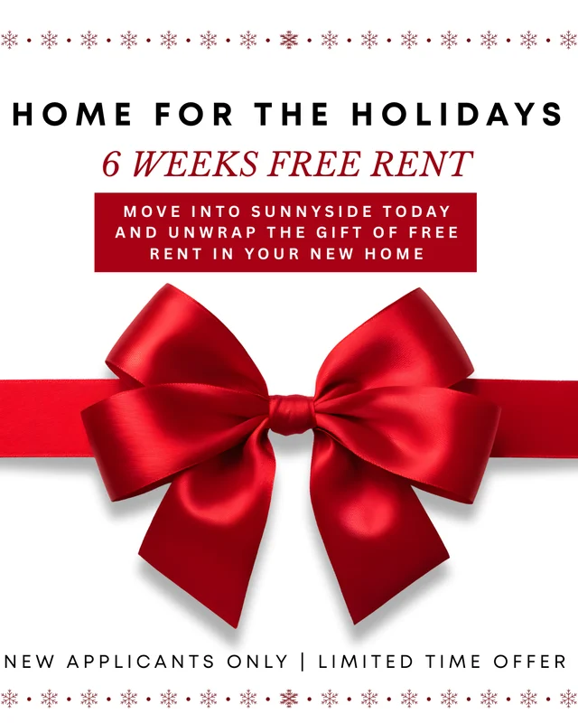 Promotional flyer for a rental offer featuring a red bow and festive snowflakes.