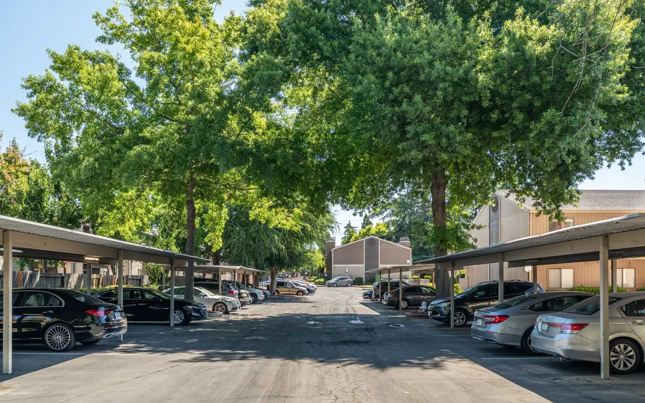 A view of a parking lot with several cars parked under shade structures. Lush green trees line the sides of the lot, creating a pleasant environment. The lot is partially shaded and features a paved surface with a clear path in the center.