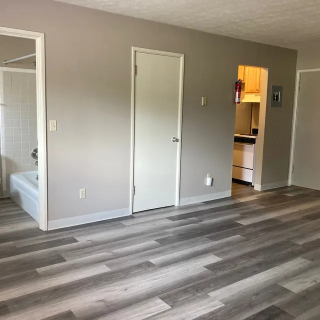 A spacious apartment interior with an open layout featuring a living area and adjacent kitchen. There is a bathroom to the left with a bathtub and toilet. The floor is covered with light-colored wood laminate, and the walls are painted in a neutral color. A door leads to the kitchen area, and there are several doors around the living space.