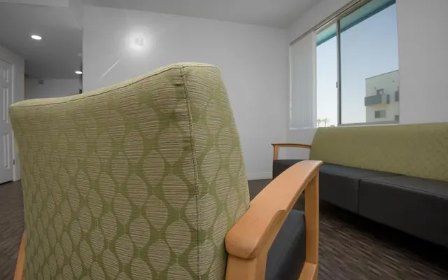 Modern Living Room Interior A view of a modern living room with green patterned armchair and gray sofa