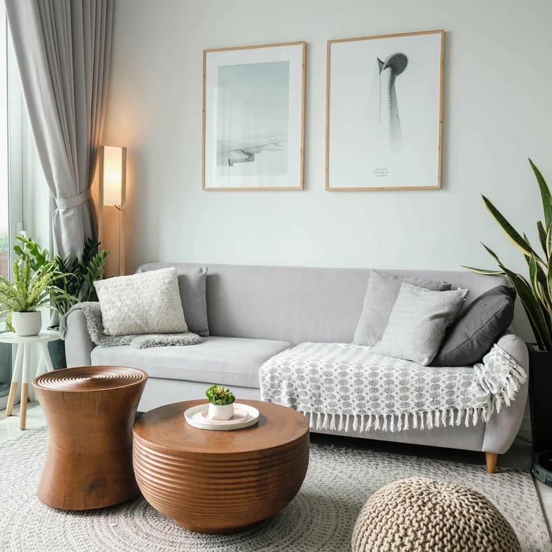 A modern living room featuring a grey sofa with a light throw blanket, two wooden coffee tables, a round rug, and green plants by the window.