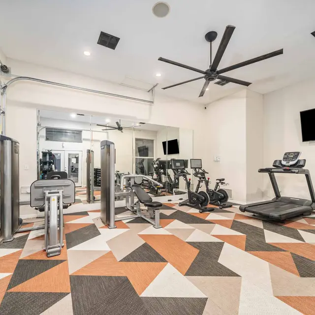 Gym, Fitness, Exercise equipment