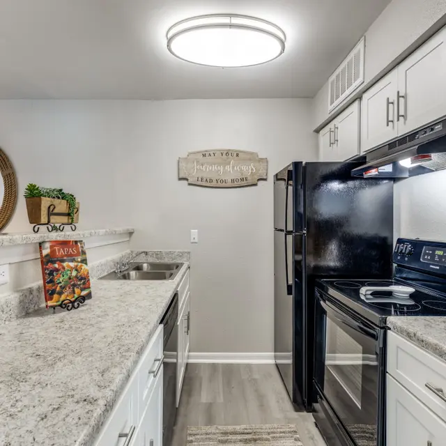 A modern kitchen featuring a granite countertop with a sink, a stovetop, and black appliances. A round ceiling light illuminates the space, and there's decorative art on the walls along with a round mirror and a plant on the countertop.