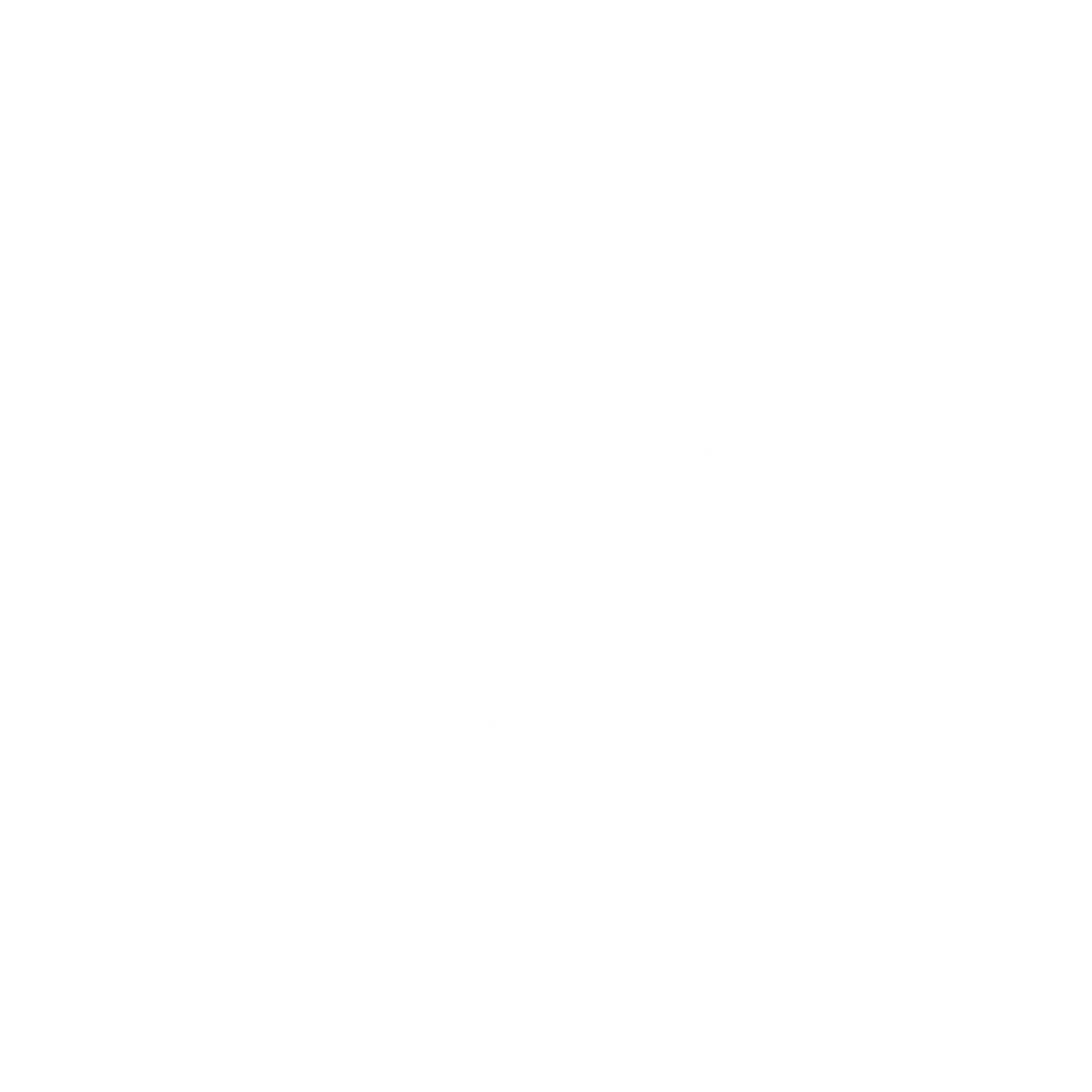 Logo design featuring the letters 'SV' with a palm tree, encircled by text that reads 'Squilli Produce' and 'Villas'.