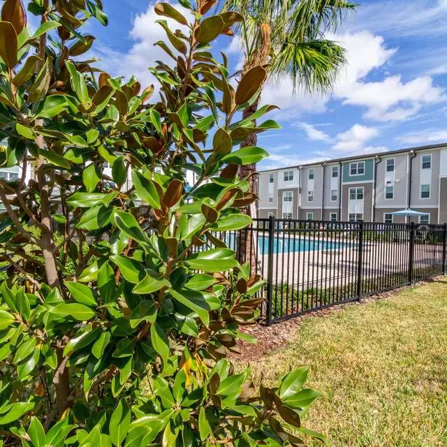 View of a swimming pool area surrounded by green foliage and grass under a clear sky.