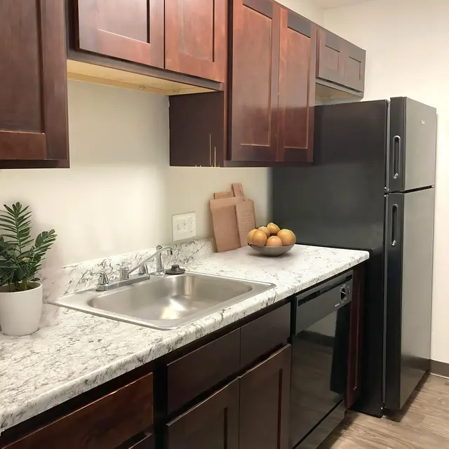 A kitchen featuring dark wooden cabinets, a stainless steel sink, and a black refrigerator. The countertop is made of light-colored granite with a plant and some decorative items.