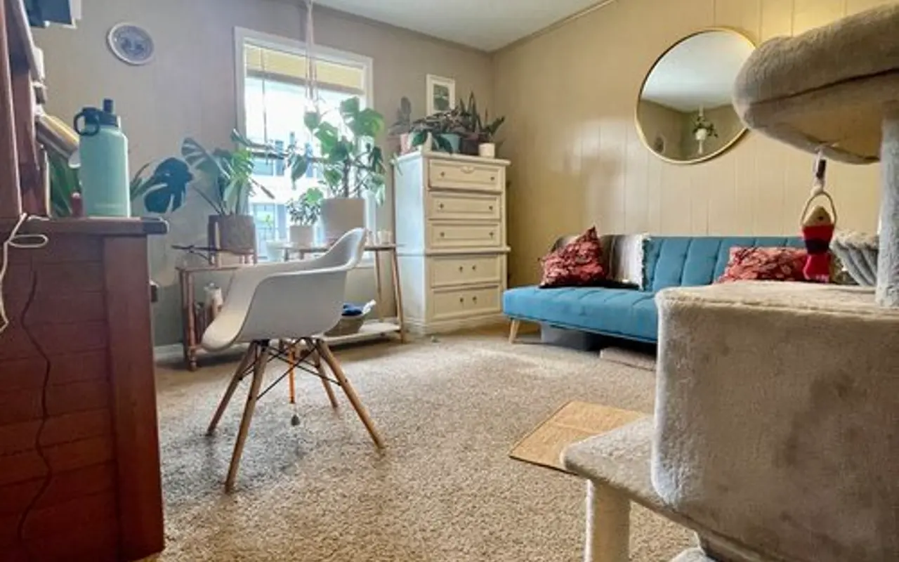 Cozy Living Room Setup A cozy living room featuring a blue sofa, a white chair, a small round mirror, a white dresser, and a cat tree. The room is filled with various houseplants and has soft carpet flooring.