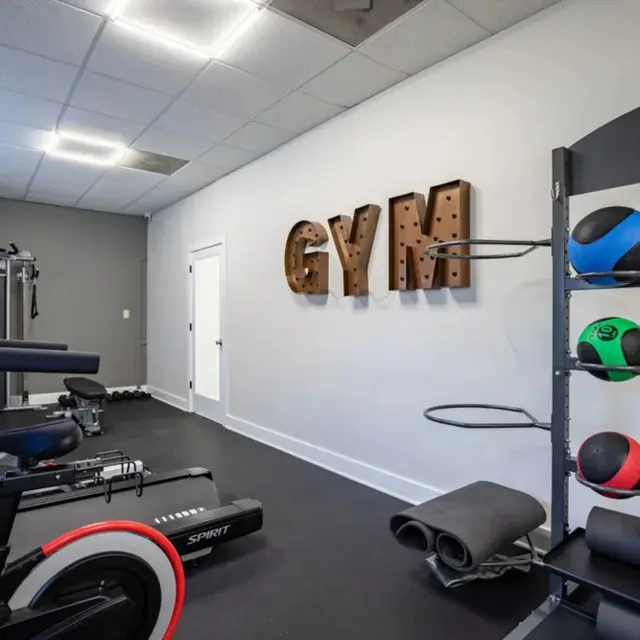 A modern home gym with exercise equipment and colorful medicine balls on a rack.