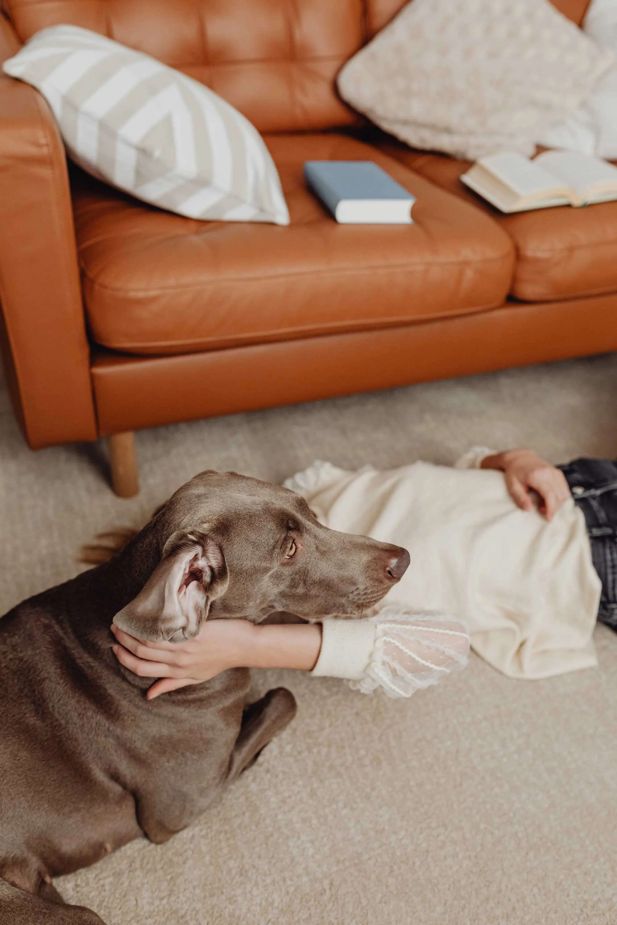 A relaxed setting featuring a cozy living room with a brown leather couch, where a dog lies next to a person on the floor. The person is dressed in a light sweater and their arm is around the dog, enjoying a calm moment together.