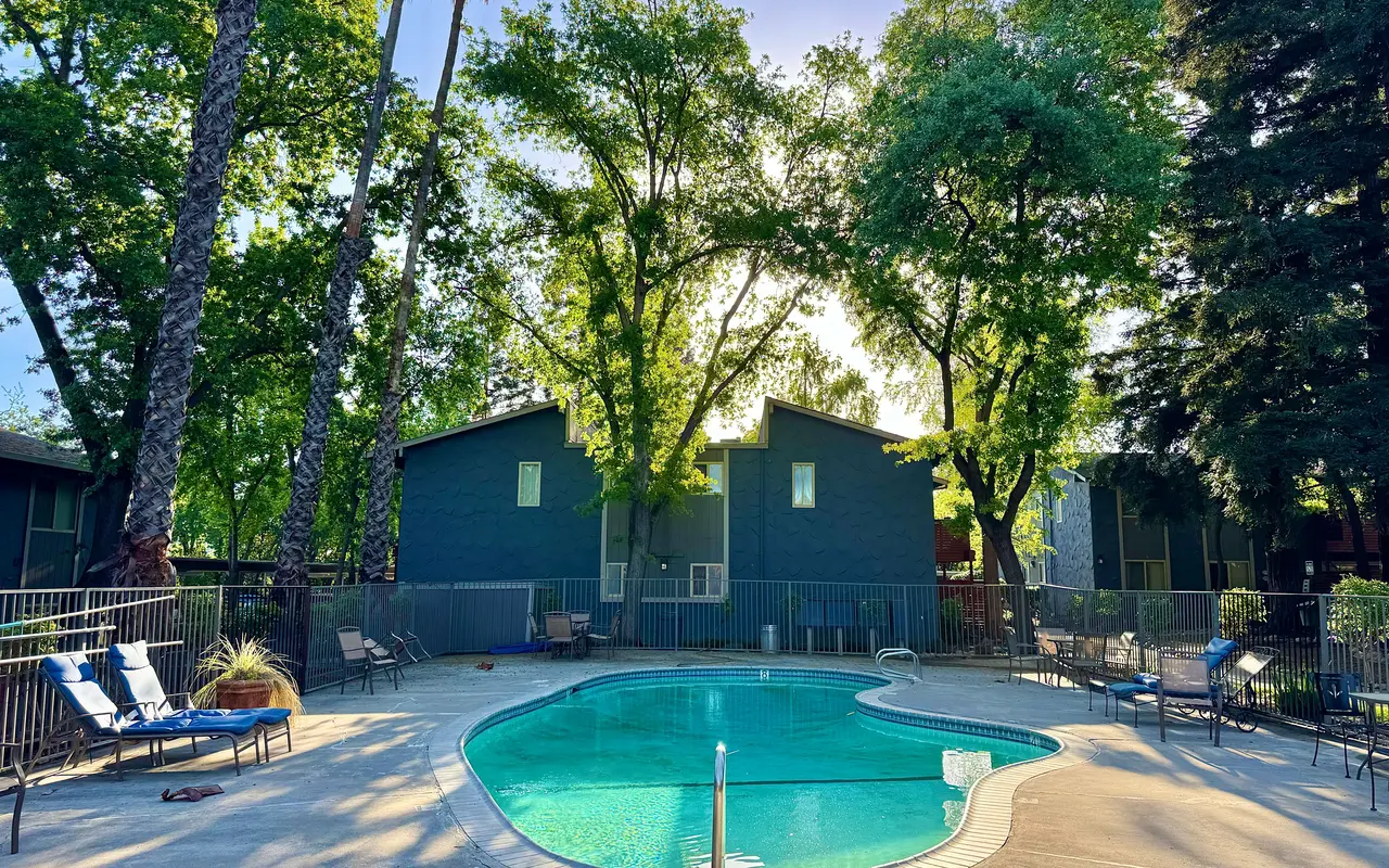 A serene swimming pool area surrounded by lush greenery and apartment buildings. There are several lounge chairs around the pool, and the scene is illuminated by sunlight filtering through the trees.